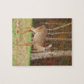 Een droomspeler van de Hunter Legpuzzel (Horizontaal)