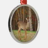 Een droomspeler van de Hunter Metalen Ornament (Rechts)