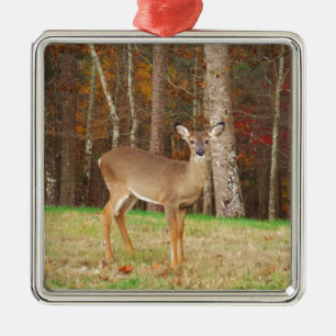 Een droomspeler van de Hunter Metalen Ornament