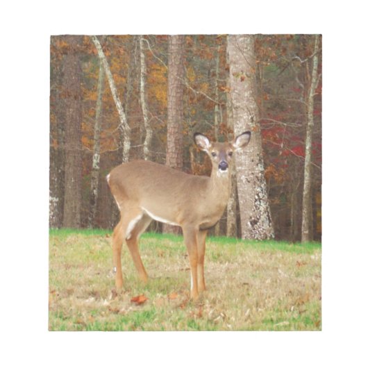 Een droomspeler van de Hunter Notitieblok (Voorkant)