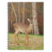 Een droomspeler van de Hunter Notitieboek (Voorkant)