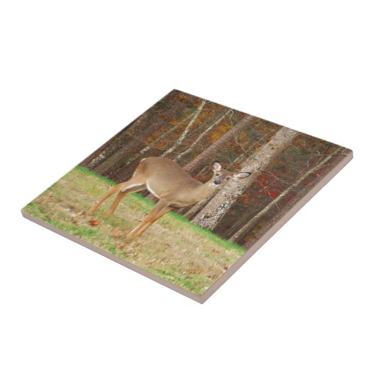 Een droomspeler van de Hunter Tegeltje (Zijkant)