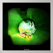 één druppel poster (Voorkant)