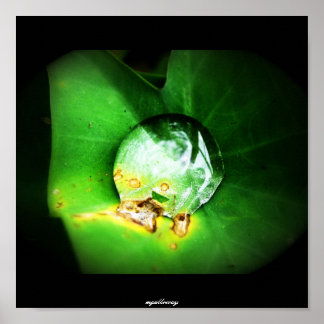 één druppel poster