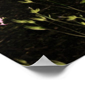 Eén dryad poster (Hoek)