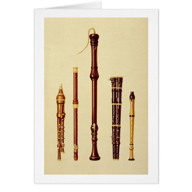 Een dubbele flageolet, een Duitse flute, een baskr (Voorkant)
