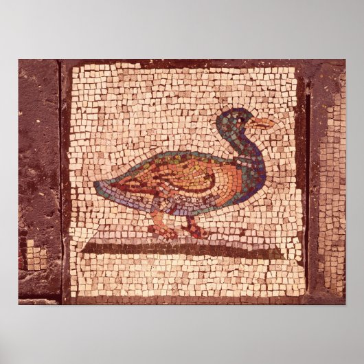Een Duck, detail van Orpheus Charming de dieren Poster (Voorkant)