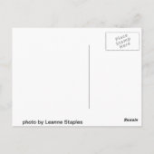 een duidelijk uitzicht briefkaart (Achterkant)