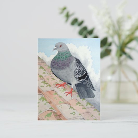 Een duif rust op een dak briefkaart (Staand voorkant)
