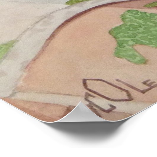 Een duif rust op een dak poster (Hoek)