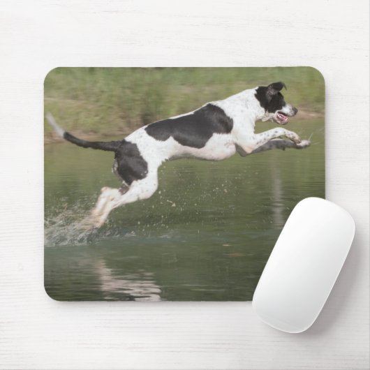 Een duik nemen muismat (Met muis)