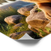 Een Duitse herder in een rustieke omgeving Poster (Hoek)