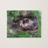 Een Duitse Shorthaired Pointer-hond in het gras Legpuzzel (Horizontaal)