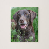 Een Duitse Shorthaired Pointer-hond in het gras Legpuzzel (Verticaal)