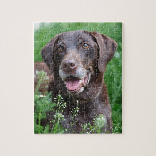 Een Duitse Shorthaired Pointer-hond in het gras Legpuzzel (Verticaal)
