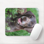 Een Duitse Shorthaired Pointer-hond in het gras Muismat (Met muis)