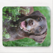 Een Duitse Shorthaired Pointer-hond in het gras Muismat (Voorkant)