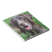 Een Duitse Shorthaired Pointer-hond in het gras Notitieblok (Schuin)