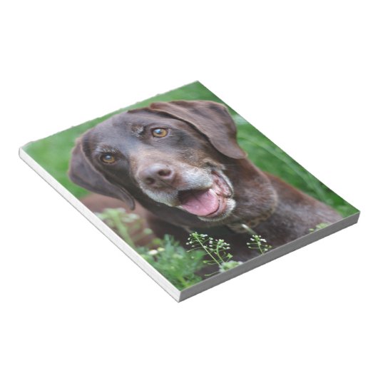 Een Duitse Shorthaired Pointer-hond in het gras Notitieblok (Schuin)