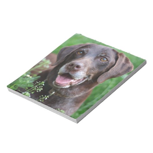 Een Duitse Shorthaired Pointer-hond in het gras Notitieblok (Linkerzijde)