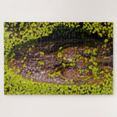 Eén duizend plus stukken Alligator Legpuzzel (Horizontaal)