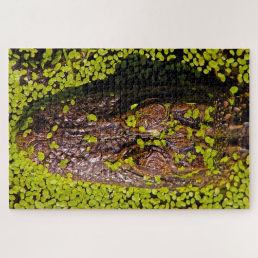 Eén duizend plus stukken Alligator Legpuzzel (Horizontaal)