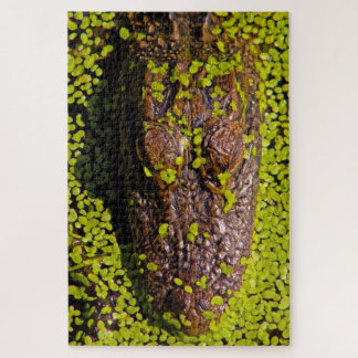 Eén duizend plus stukken Alligator Legpuzzel