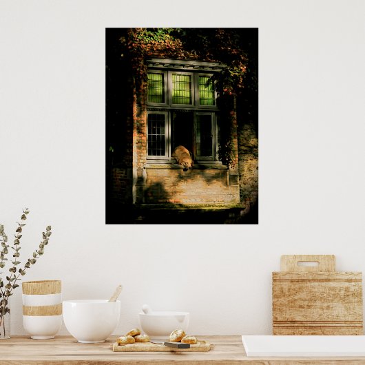 Een dutje in de zon II Poster (Keuken)