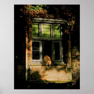 Een dutje in de zon II Poster