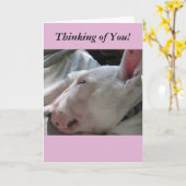 Een dutje in het zonnetje dat aan je denkt kaart (Gele Bloem)