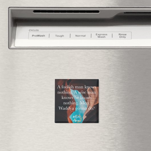 Een dwaze mannen magneet (Insitu (Vaatwasser))