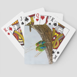 Een dwergpapegaaienpaar Op Een Tak Pokerkaarten