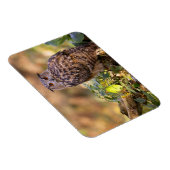 Een Eagle Owl Magneet (Rechterzijde)