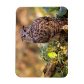 Een Eagle Owl Magneet (Verticaal)