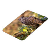 Een Eagle Owl Magneet (Linkerzijde)