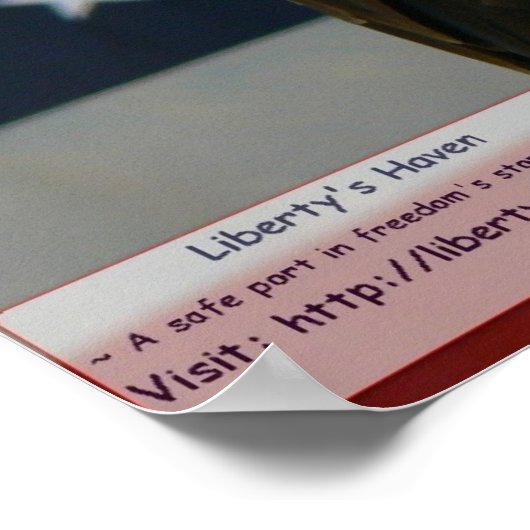 Een Eagle's Poster (Hoek)