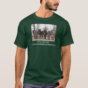 Een echt pakket van zes t-shirt
