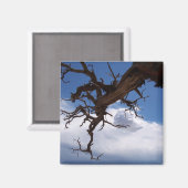 Een echte Cliffhanger Magnet (Voorkant / Achterkant)