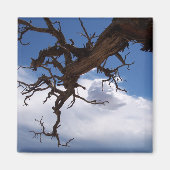 Een echte Cliffhanger Magnet (Voorkant)