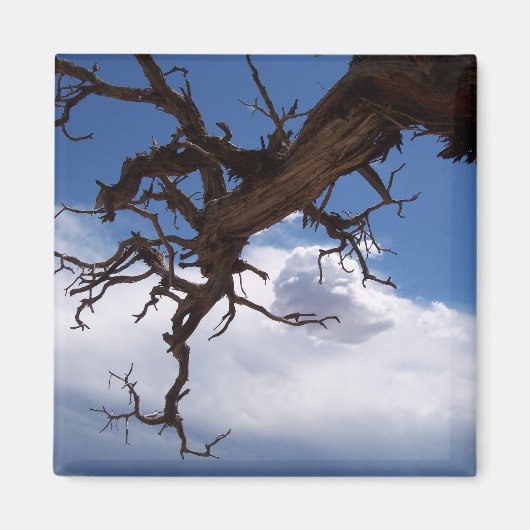 Een echte Cliffhanger Magnet (Voorkant)