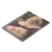 Een echte  kerstman die zijn lijst controleert notitieboek (Linkerzijde)