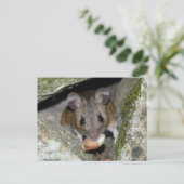 Een echte mondvol briefkaart (Staand voorkant)