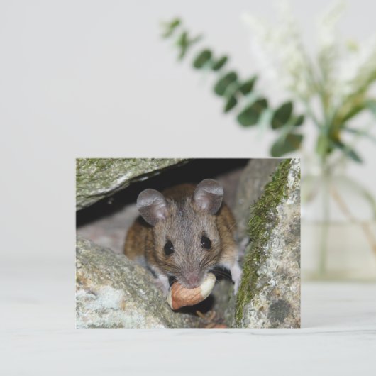 Een echte mondvol briefkaart (Staand voorkant)