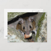 Een echte mondvol briefkaart (Voorkant / Achterkant)