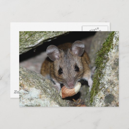 Een echte mondvol briefkaart (Voorkant / Achterkant)