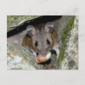 Een echte mondvol briefkaart (Voorkant)