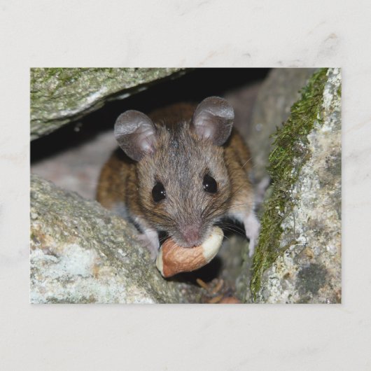 Een echte mondvol briefkaart (Voorkant)