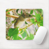 EEN ECHTE MOUSEPAD! MUISMAT (Met muis)