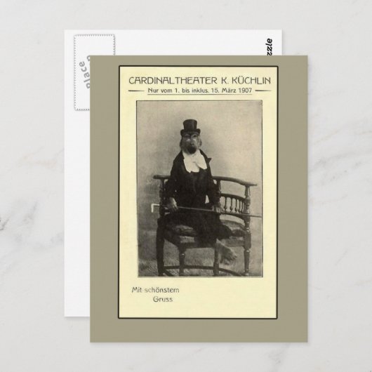 Een echte Oddity - een aap in een set Briefkaart (Voorkant / Achterkant)