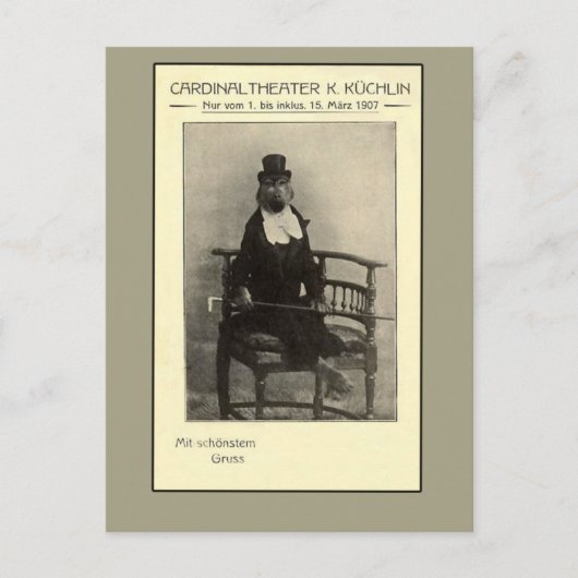 Een echte Oddity - een aap in een set Briefkaart (Voorkant)